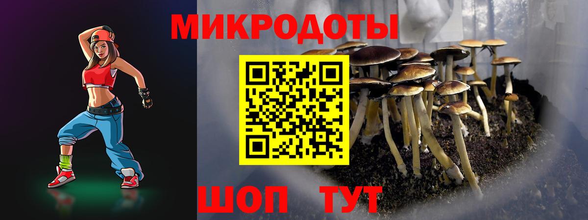 Псилоцибиновые грибы мухоморы  Псилоцибиновые грибы Psilocybine cubensis  Десногорск  Вход с VPN 